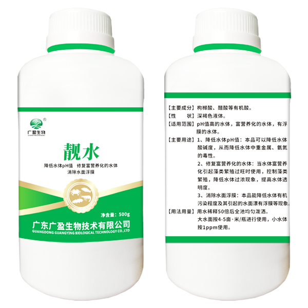 靓 水